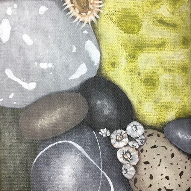 Small painting of pebbles and sea anemones in grey and green palette