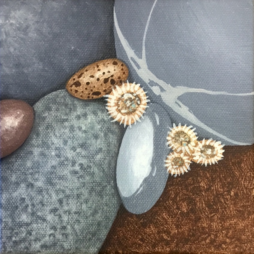 Small painting of grey, brown and green beach stones with sea anemones