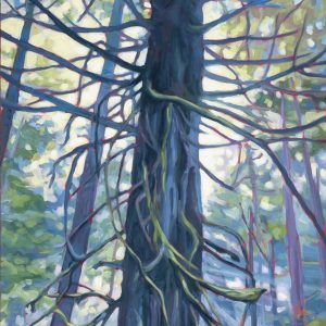 Tall tree in the West Coast forest surrounded by soft, misty light