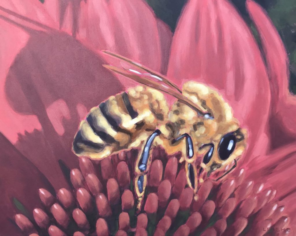 Painting of honey bee on pink flower, Lisa Riehl