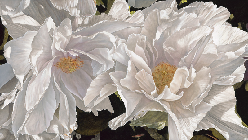 large realistic painting of two white flowers, anemone