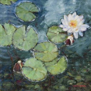Small Impressionist study of white water lily welcoming two new buds into the world
