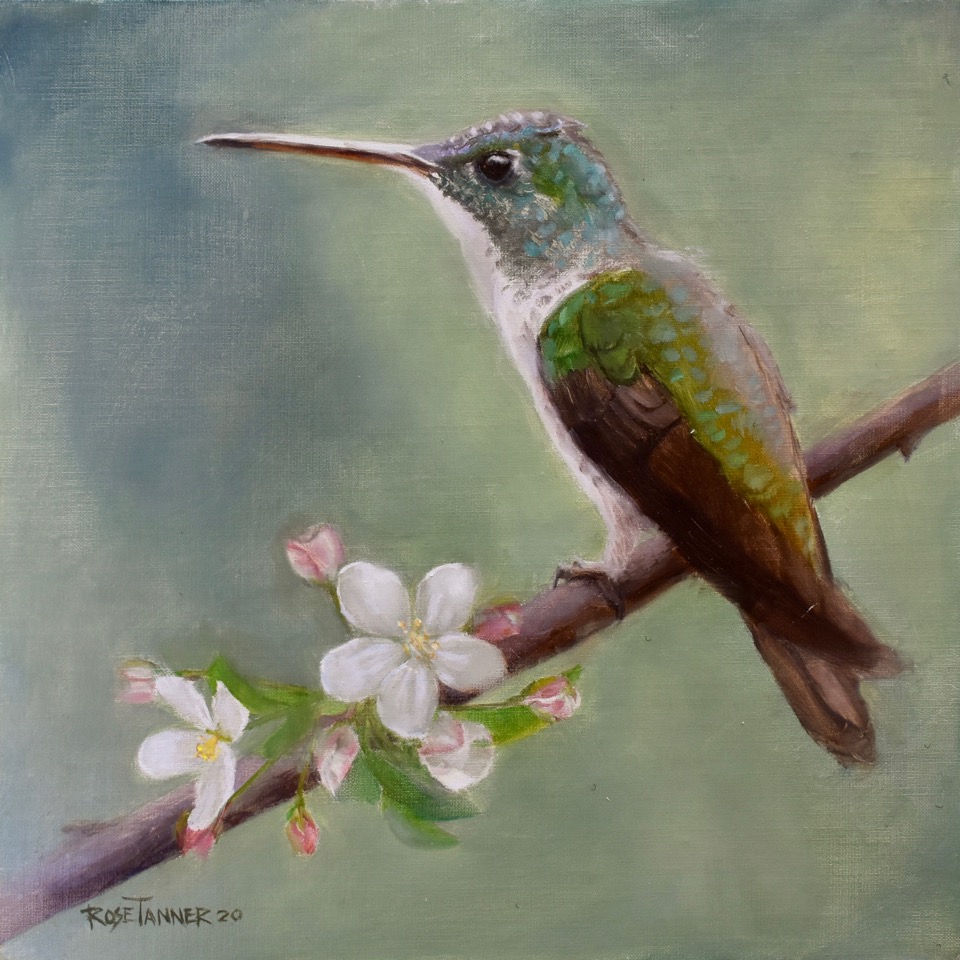 Painting of hummingbird on a blossoming branch