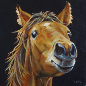 Portrait of a high spirited horse