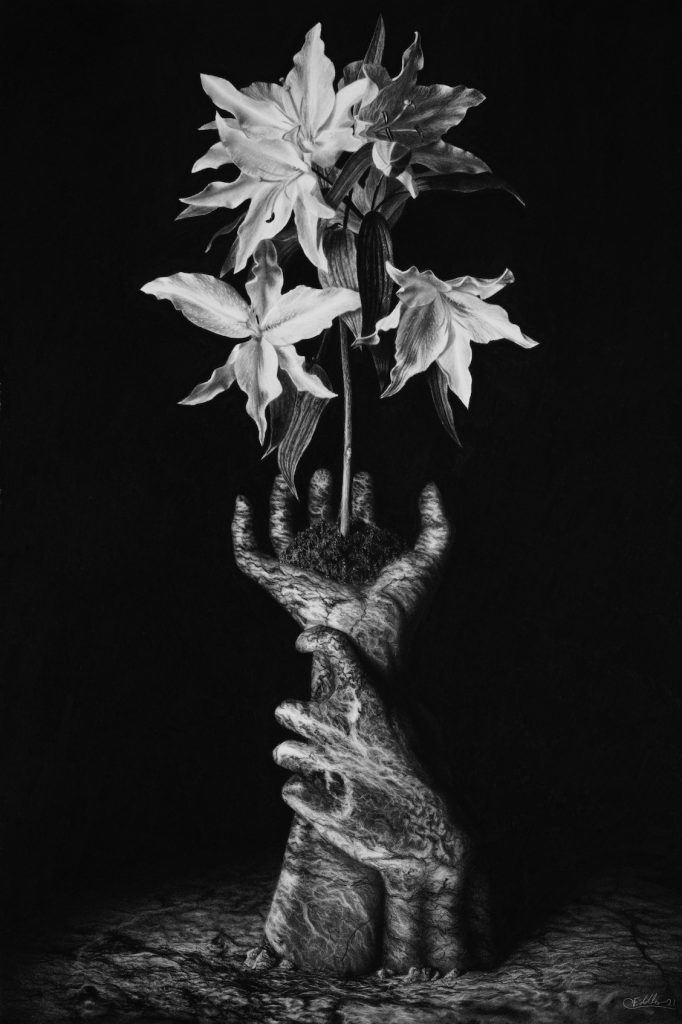 Conceptual, hyperrealistic and dramatic drawing of stone hands lily flowers grow from, black and white
